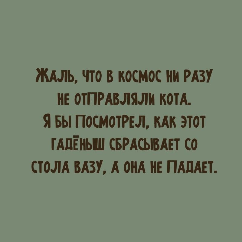 ЖАЛЬ ЧТО В КОСМОС НИ РАЗУ НЕ ОТПРАБЛЯЛН КОТА Я БЫ ПОСМОТРЕЛ КАК ЭТОТ ТАЛЁНЫШ СБРАСЫВАЕТ СО СТОЛА БАЗУ А ОНА НЕ ПАПАЕТ