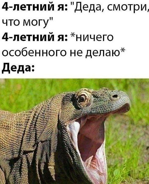 4 петний я Деда смотри что могу 4летний я ничего особенного не делаю