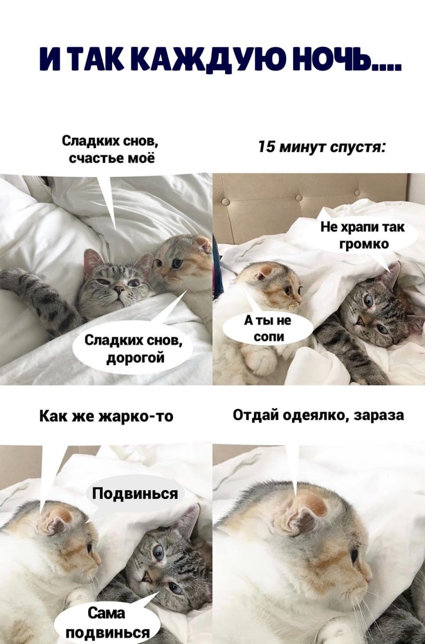 И ТАК КАЖДУЮ ночь Сладких снов счастье моё 15 минут спустя Сладких снов дорогой и и Как же жарко то М Подвинься подвиньсм