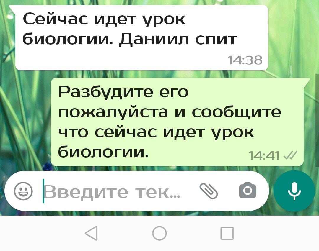Сейчас идет урок Разбудите его пожалуйста и сообщите что сейчас идет урок биологии 1441 и