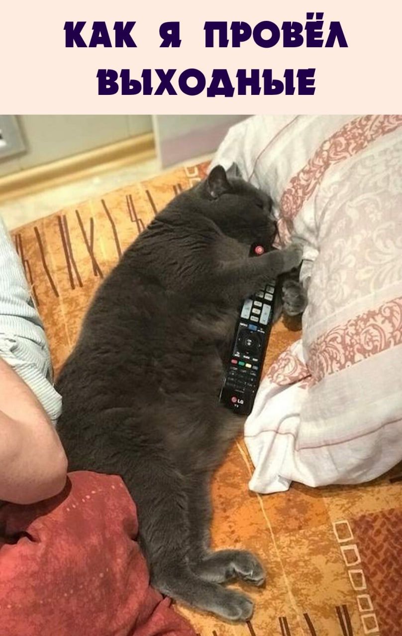 кдк я провёд выходные