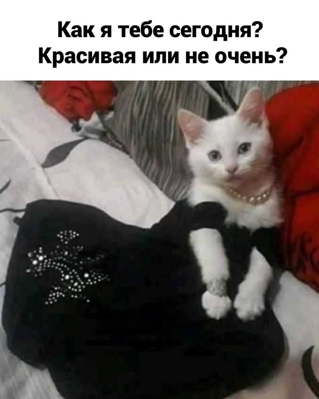 Как я тебе сегодня Красивая или не очень