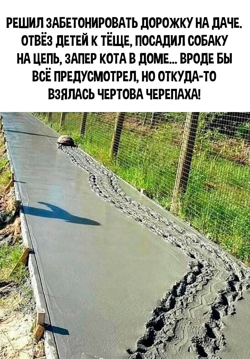 рвшил ЗАБЕТОНИРОВАТЬ дорожку нд дАЧЕ отвёз двтвй к тёща посАдил СОБАКУ НА цепь здпвр кот в доме ВРОДЕ вы всЁ предусмотрел но откудА то взялдсь ЧЕРТОВА червпдхщ