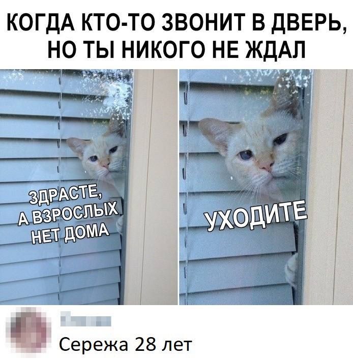 КОГДА КТО ТО ЗВОНИТ В ДВЕРЬ НО ТЫ НИКОГО НЕ ЖДАЛ Чщдъдвё 1 і г __ __ __ _ Сережа 28 лет