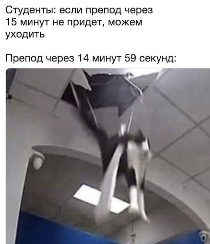 Студенты если препод через 15 минут не придет можем уходить Препод через 14 минут 59 секунд