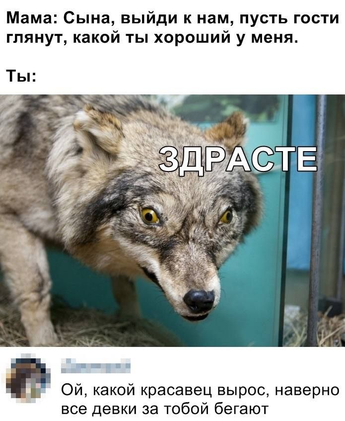 Мама Сына выйди к нам пусть гости гпянут какой ты хороший у меня на пр Ой какой красавец вырос наверно все девки за тобой бегают
