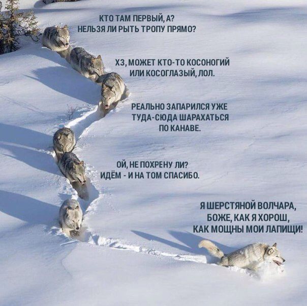 ЁЁ гэвы А ЗП РЫТЬ ТРОПУ ПРЯМП хз мпжвт кто тп косоиогий им косогшзыйдоп РЕАЛЬНО ЗАПАРИЛСЯ УЖЕ ТУДА СЮДА ШАРАХАТЪСЯ по КАНАВЕ ойнв потну пт идём и ид том спдсиви яшпчпяной вопчдм вожыдкяхагпш мкмпцшымоишмщив 4