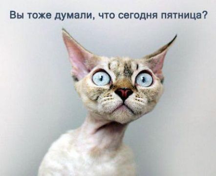вы ТОЖЕ думали ЧТО ООГОДНЯ ПЯТНИЦВ