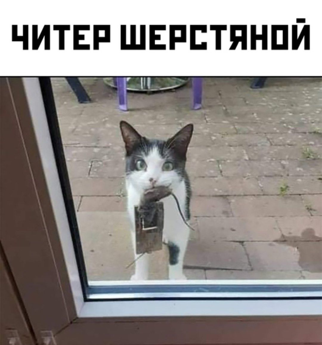 ЧИТЕі ШЕРЕТЯНПЙ