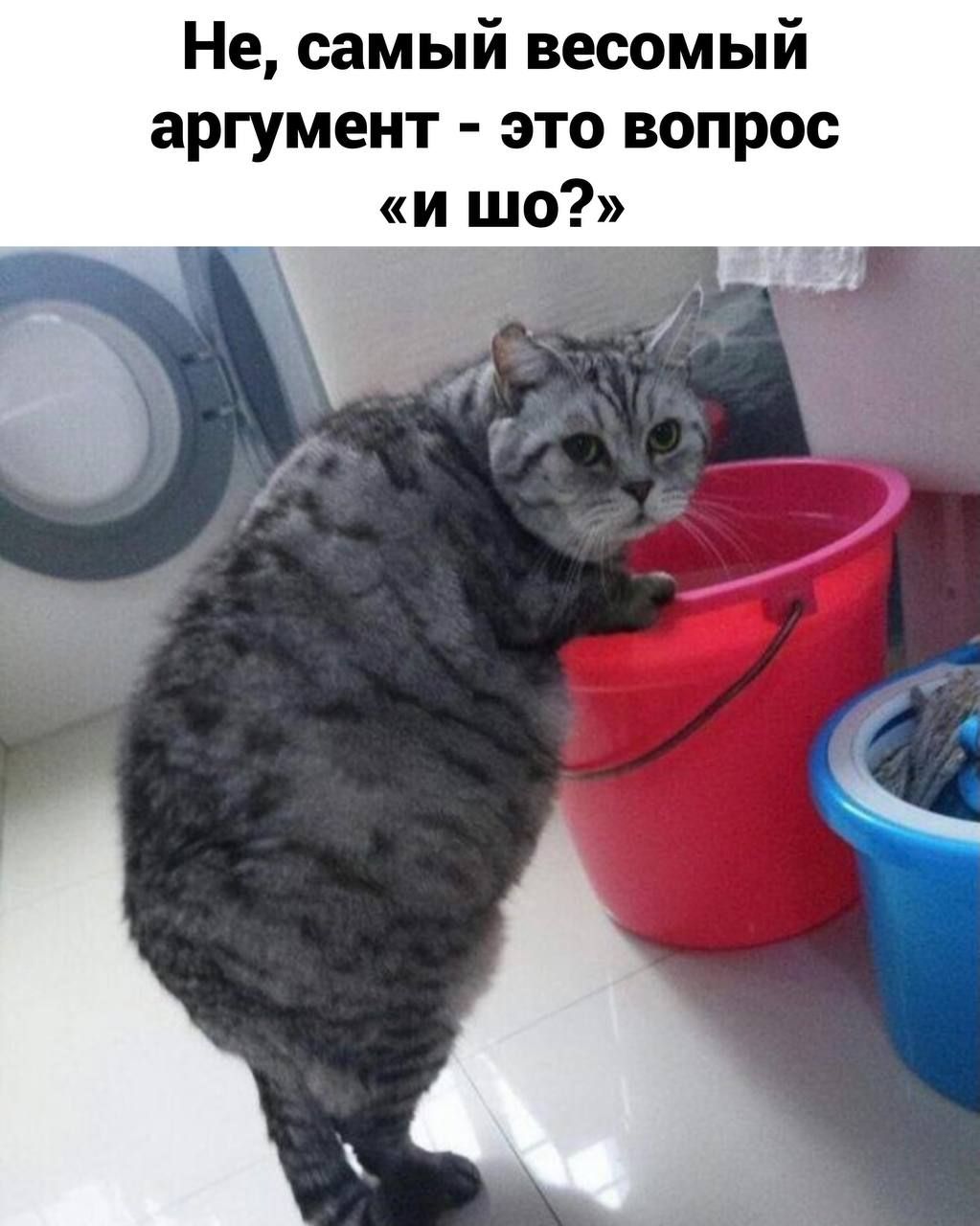 Не самый весомый аргумент это вопрос