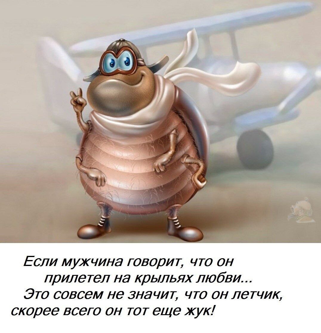 Если мужчина говорит что он прилетел на крыльях любви Это совсем не значит что он летчик скорее всего он тот еще жук