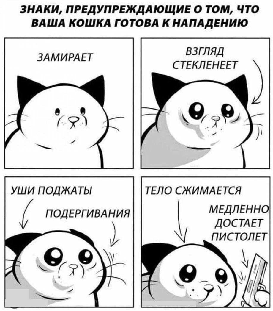 ЗНАКИ ПРЕДУПРЕЖДАЮЩИЕ О ТОМ ЧТО ВАША КОШКА ГОТОВА К НАПАДЕНИЮ ВЗГЛЯД СТЕКЛЕНЕЕТ УШИ ПОДЖАТЫ ТЕЛО СЖИМАЕТСЯ ПОДЕРГИВАНИЯ МЕДЛЕННО ДОСТАЕТ ПИСТОЛЕТ