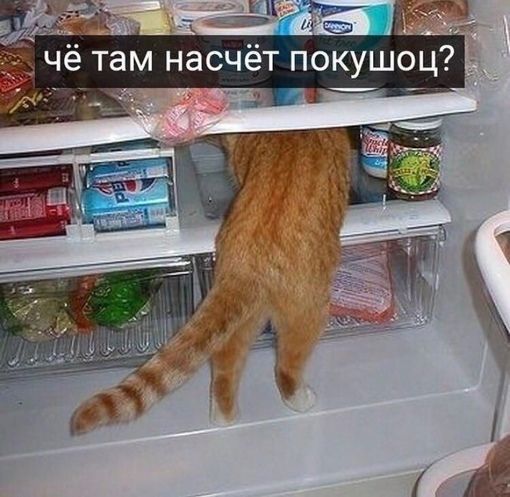 чё там насчёт покушоц? Олу