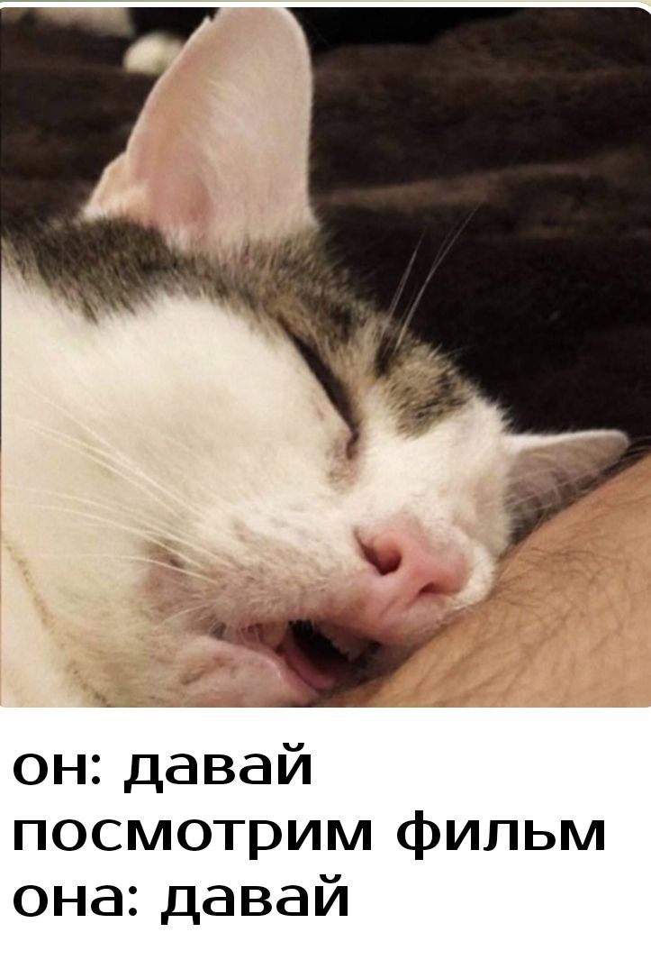 ондавай посмотрим фильм она давай