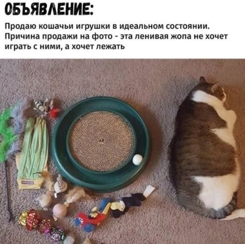 ОБЪЯВАЕНИЕ Прадаю кошачьи игрушки а идеальном состоянии Причина продажи на фтп ата ленивая жопа не хочет играть ними а хочет лежать