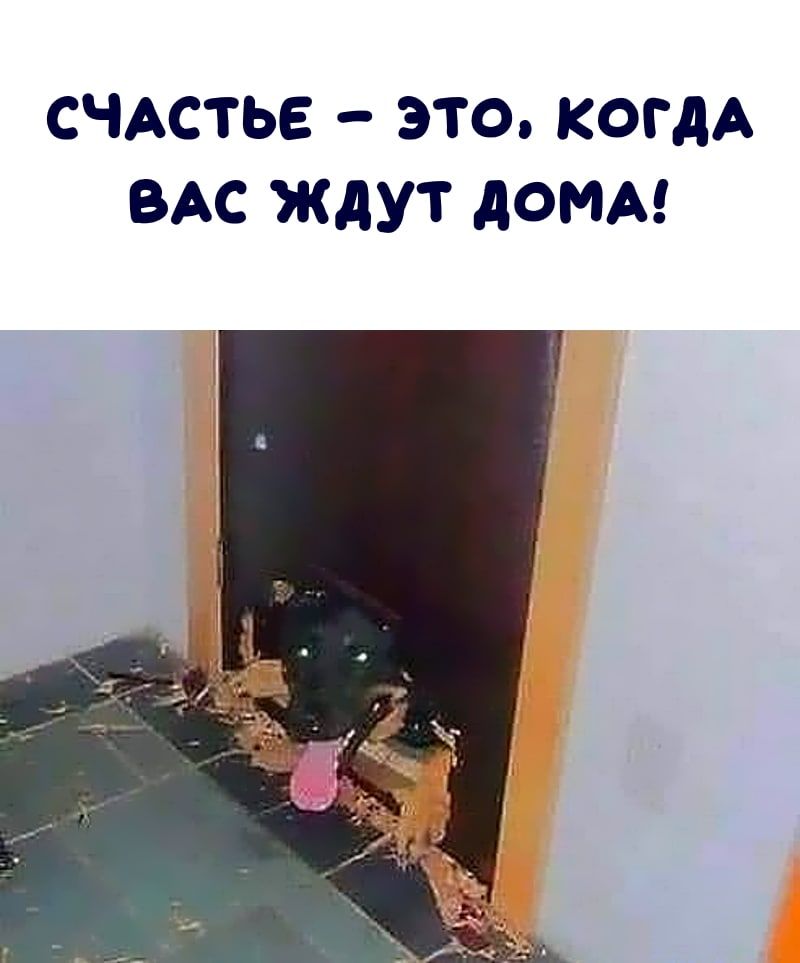 СЧАСТЬЕ ЭТО КОГДА ВАС ЖДУТ АОМА