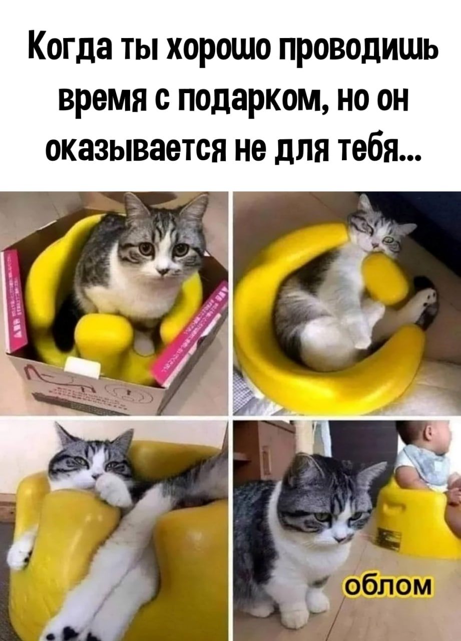 Когда ты хорошо проводишь время подарком но он оказывается не для тебя