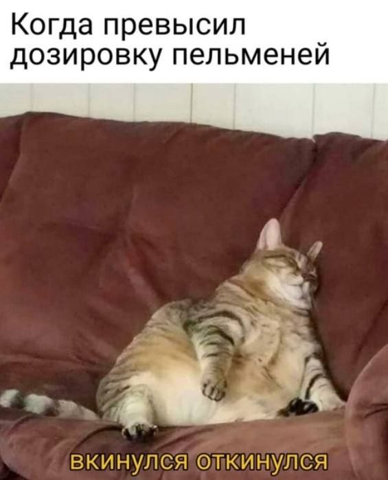 Когда превысил дозировку пельменей