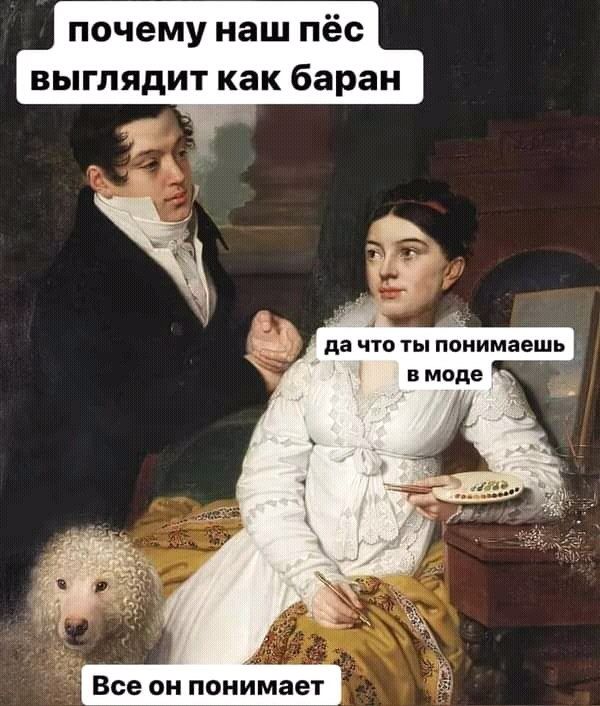 почему наш пёс выглядит как баран ЧА да что ты понимаешь