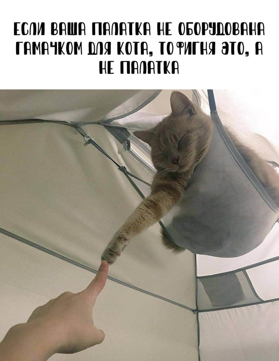 СПИ ШШШ ПНПШКН НЕ ОБОРШЮВННЁ ГИМНЧКОМ ШШ КШ П РИП Е И НЕ ПНПШКН