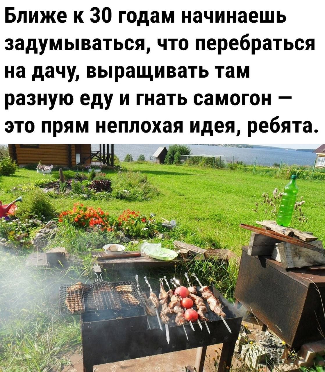 Ближе к 30 годам начинаешь задумываться что перебраться на дачу выращивать там разную еду и гнать самогон это прям неплохая идея ребята