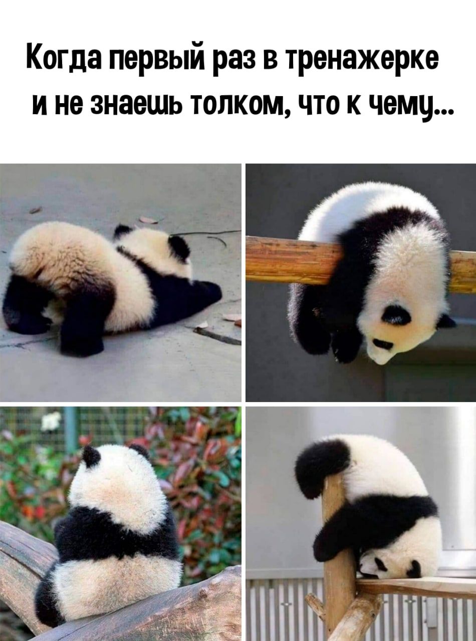 Когда первый раз в тренажерке и не знаешь толком что к чему