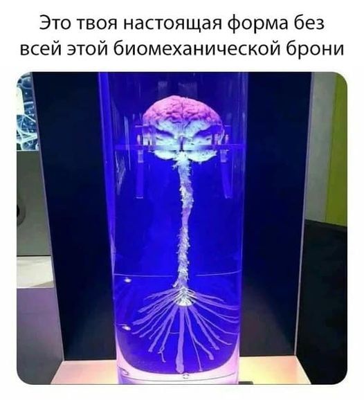 Это твоя настоящая форма без всей этой биомеханической брони