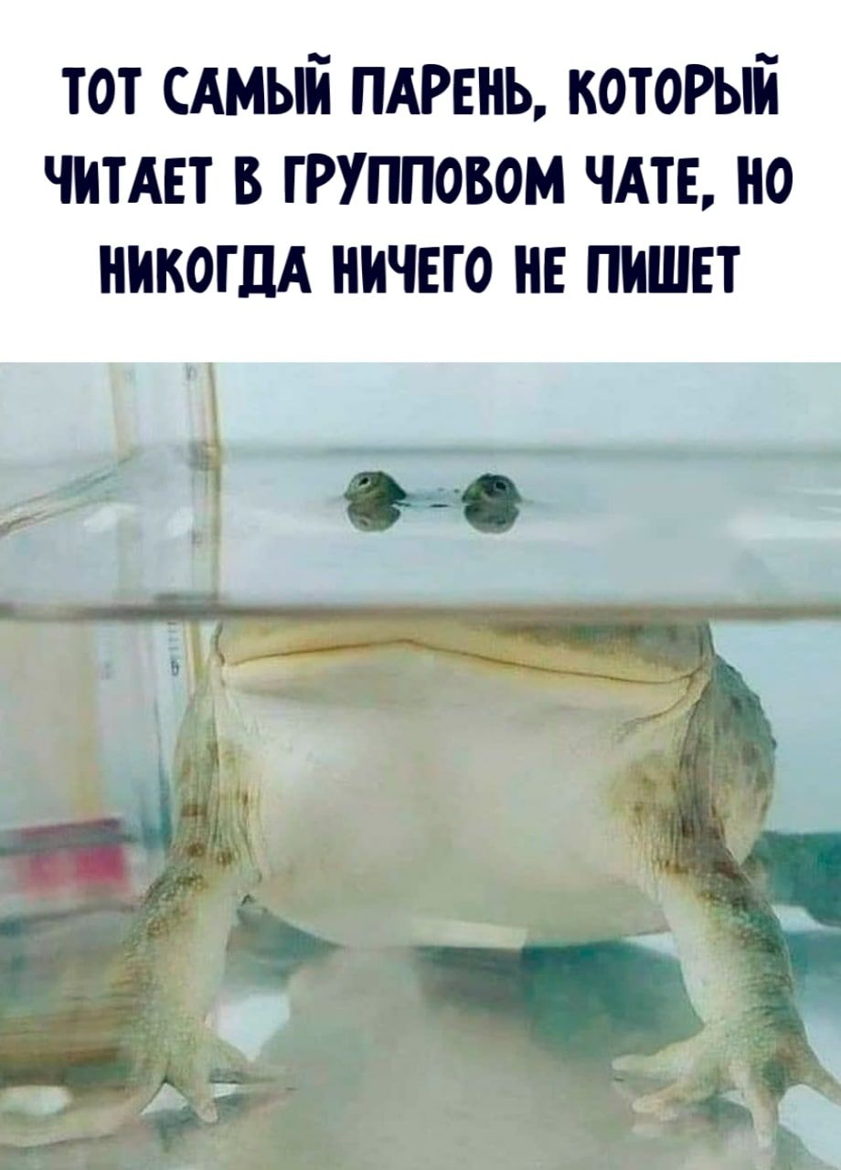 тот сдмый пдгвнь который читы в групповом чт но НИКОГДА НИЧЕГО НЕ ПИШЕТ