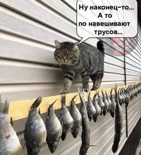 Ну на конец то А то по навешивают трусов