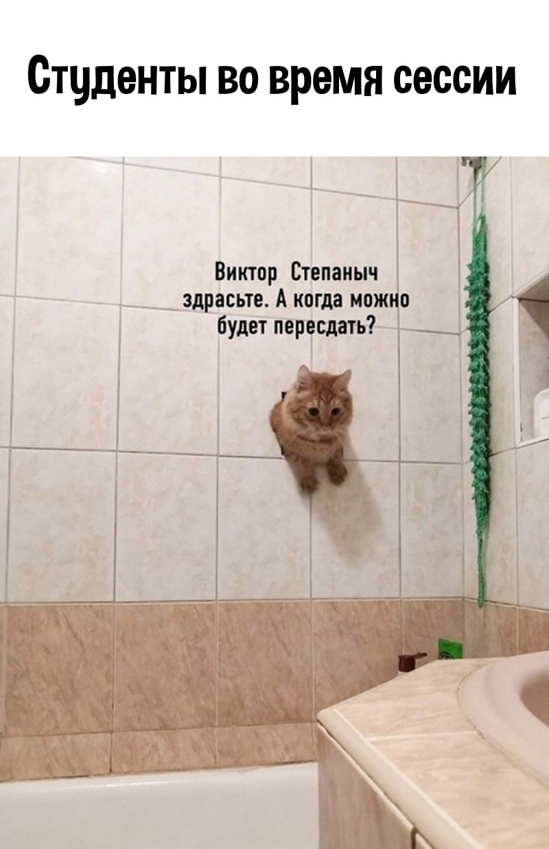 Студенты во время сессии Т Виктор Степаиыч здрасьте А когда можно будет пересдать