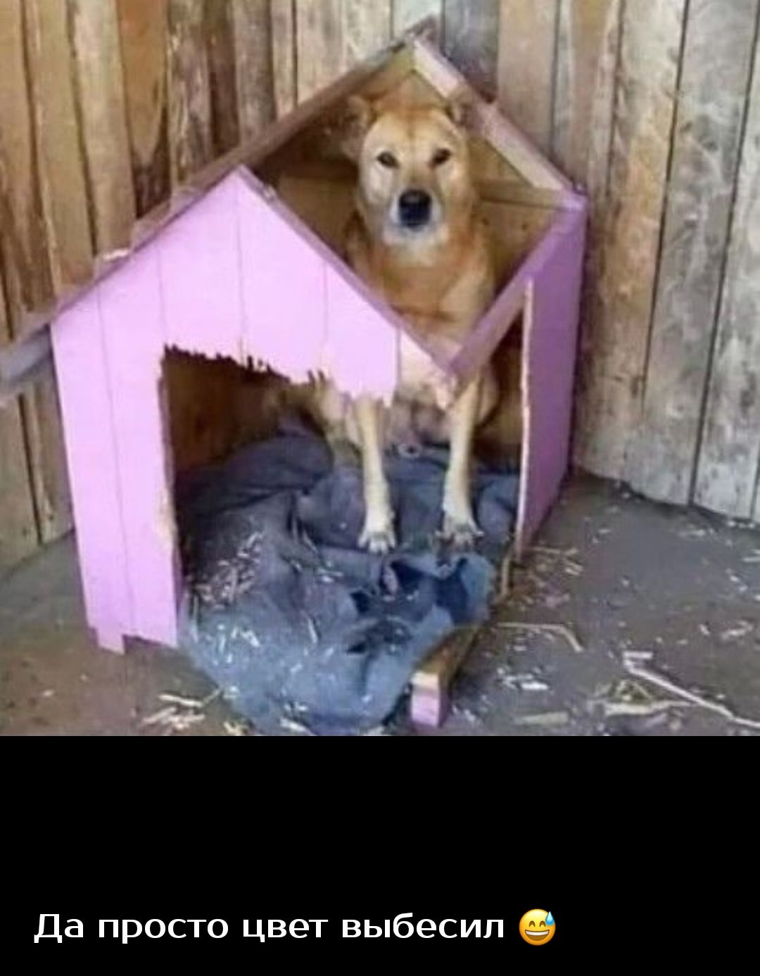 Да просто цвет выбесил