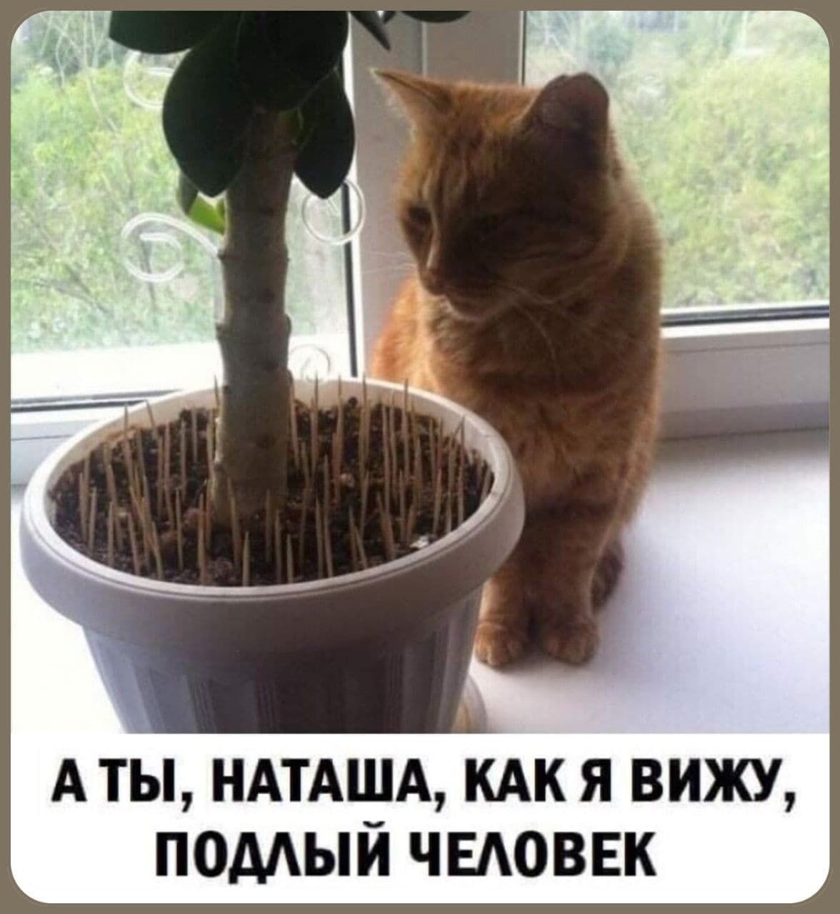 А ты НАТАША КАК Я вижу помый ЧЕАОВЕК