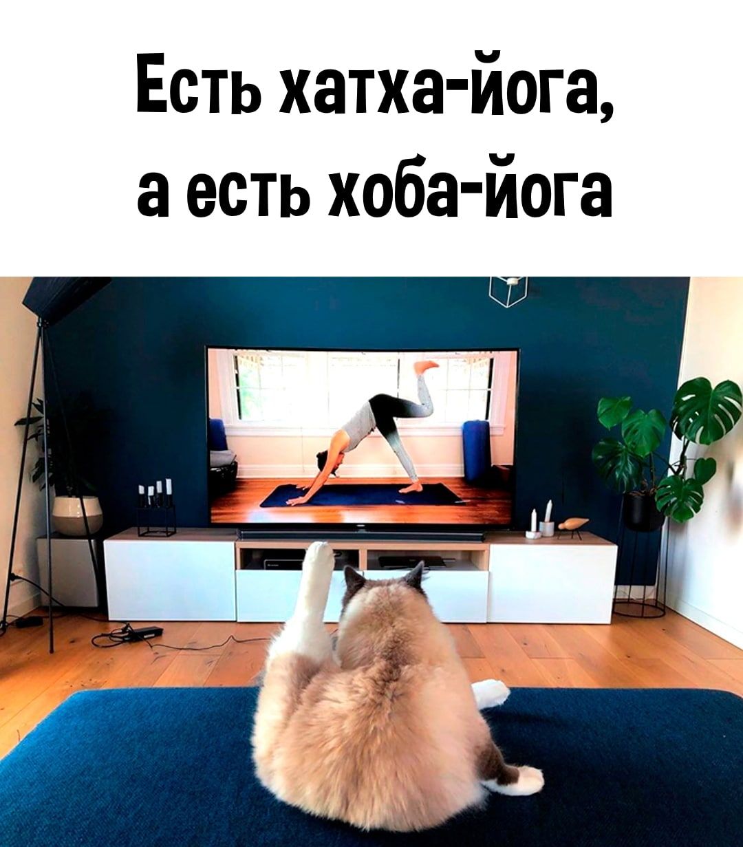Есть хатха йога а есть хаба йога