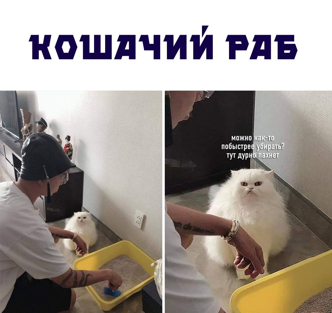 ношдчий РдБ тут душуа ищи _
