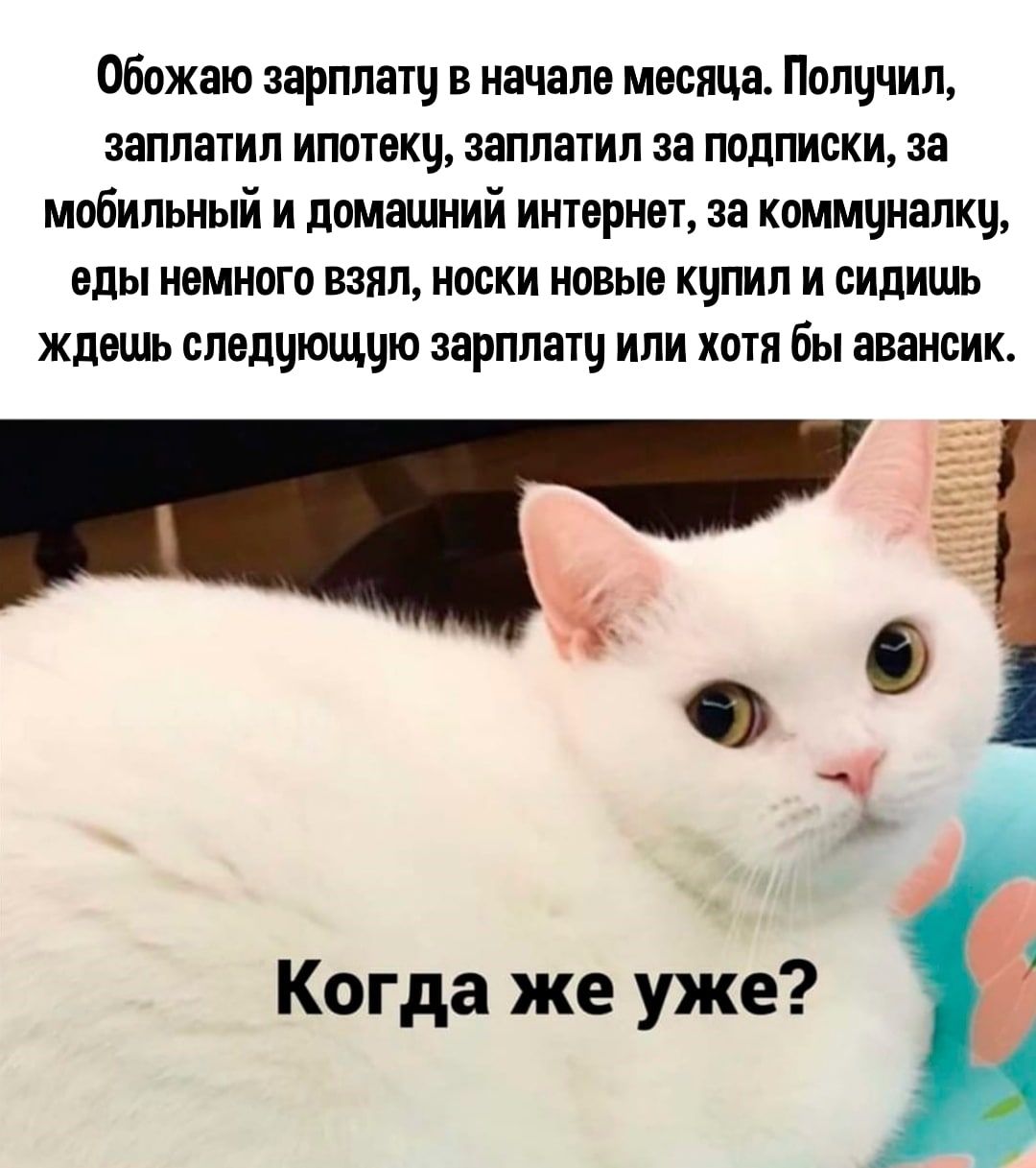 Обожаю зарплату в начале месяца Полччип заплатил ипотеки заплатил за подписки за мобильный и домашний интернет за коммуналки еды немного взял носки новые купил и сидишь ждешь следцющцю зарплатч или хотя бы авансик