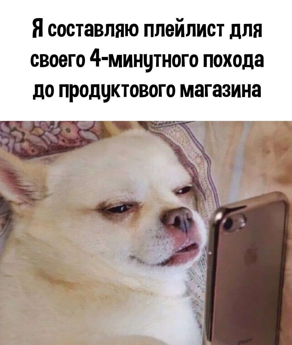 Я составляю плейлист для своего 4 минчтного похода до продчктового магазина