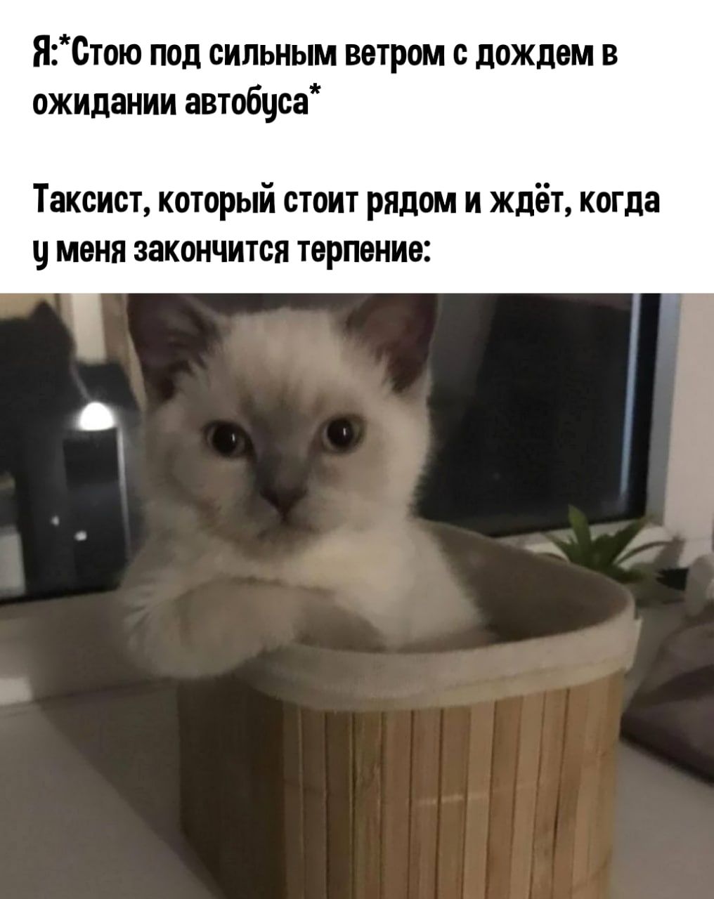 Я0тою под сильным ветром с дождем в ожидании автобуса Таксист который стоит рядом и ждёт когда меня закончится терпение