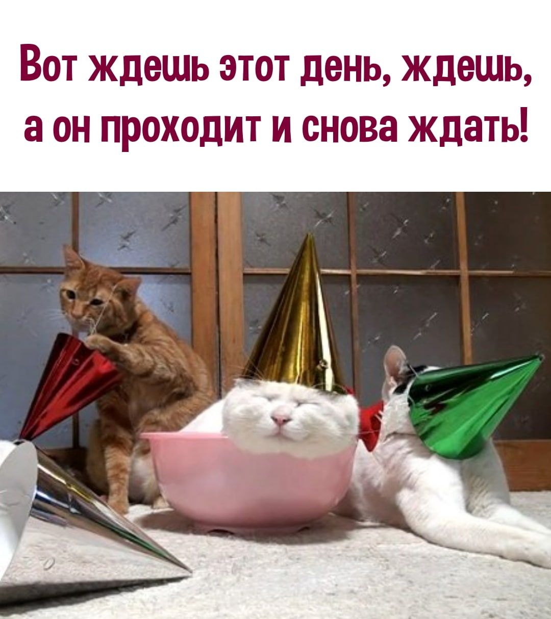 Вот ждешь этот день ждешь а он проходит и снова ждать