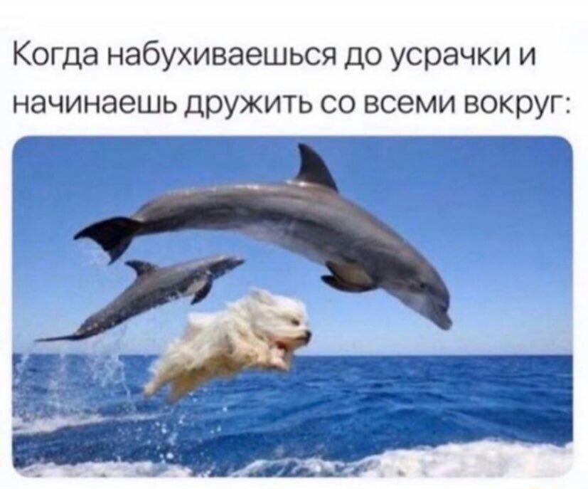Когда набухиваешься до усрачки и начинаешь дружить со всеми вокруг _____й