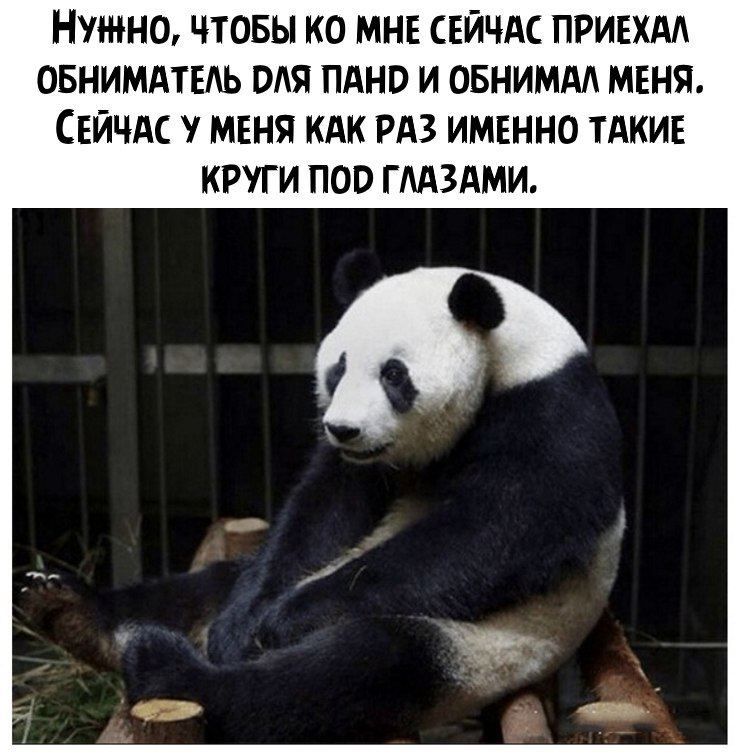 НУЖНО ЧТОБЫ КО МНЕ СЕЙЧАС ПРИЕХАА ОБНИМАТЕАЬ БЛЯ ПАНО И ОБНИМАА МЕНЯ СЕЙЧАС МЕНЯ КАК РАЗ ИМЕННО ТАКИЕ КРУГИ ПОО ГААЗАМИ