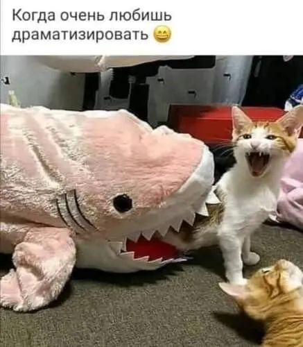 Когда очень любишь драматизировать