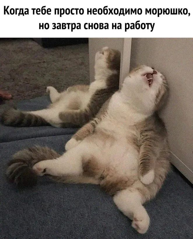 Когда тебе просто необходимо морюшко но завтра снова на работу
