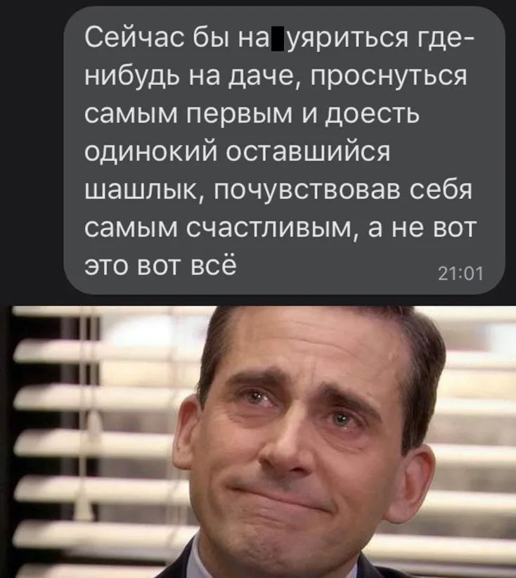 Сейчас бы на уяриться где нибудь на даче проснуться самым первым и доесть одинокий оставшийся шашлык почувствовав себя самым счастливым а не вот это вот всё Б ____