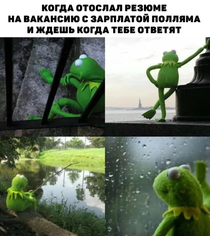 КОГДА ОТОСПАП РЕЗЮМЕ НА ВАКАНСИЮ С ЗАРПЛАТВЙ ПОЛЛЯМА И ждешь КОГДА ТЕБЕ ОТВЕТЯТ