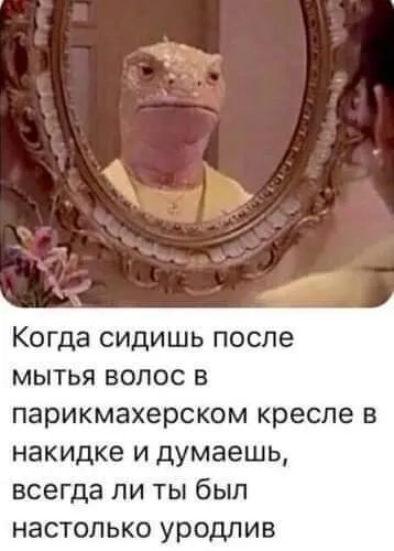 Когда сидишь после мытья волос в парикмахерском кресле в накидке и думаешь всегда ли ты был настолько уродлив