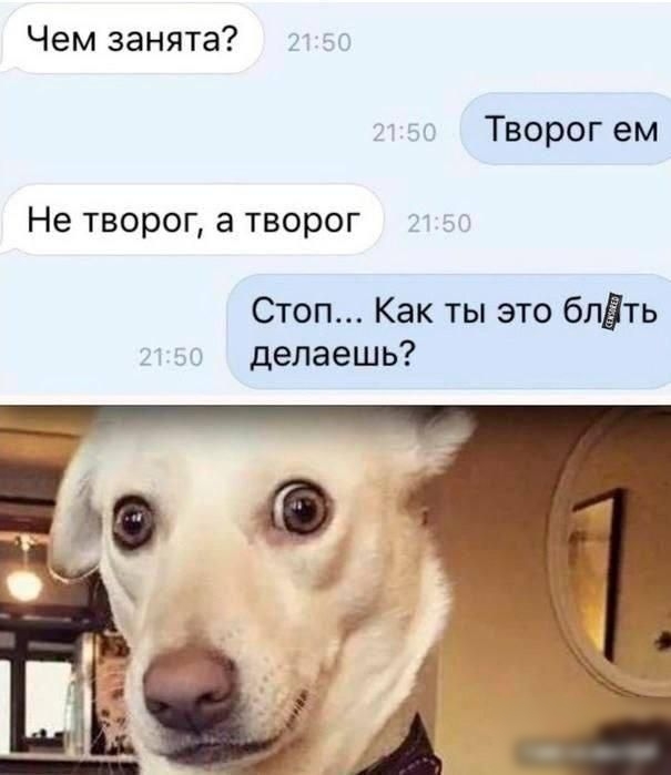Чем занята Творог ем Не творог а творог Стоп Как ты это бліть _ т делаешь