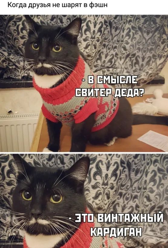 Когда друзья не шарят в фэшн