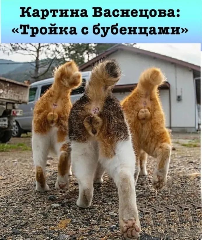 Картина Васнецова Тройка с бубенцами