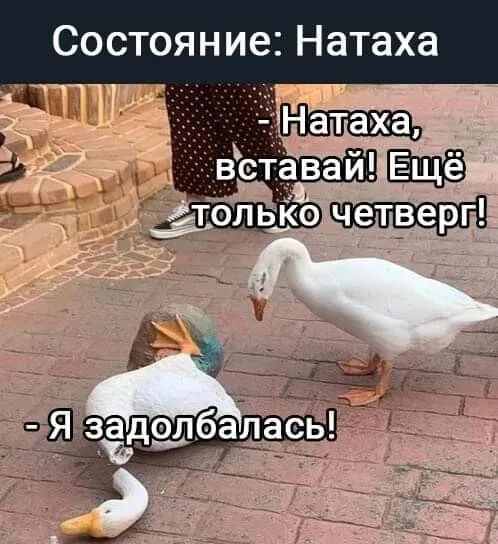 Состоян ие Натаха