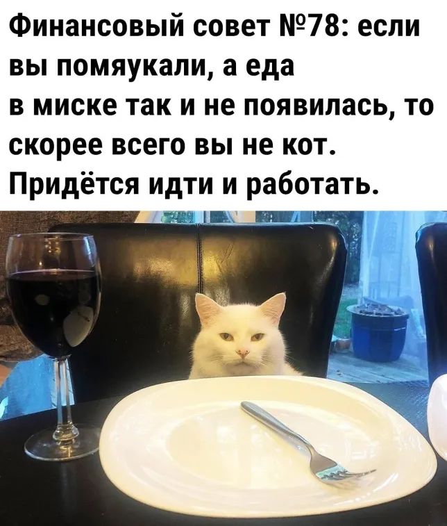 Финансовый совет 78 если вы помяукапи а еда в миске так и не появилась то скорее всего вы не кот Придётся идти и работать щ в нп